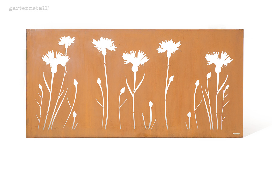 Motivwand VISTA "KORNBLUME" 2.500x1.250x50 mm